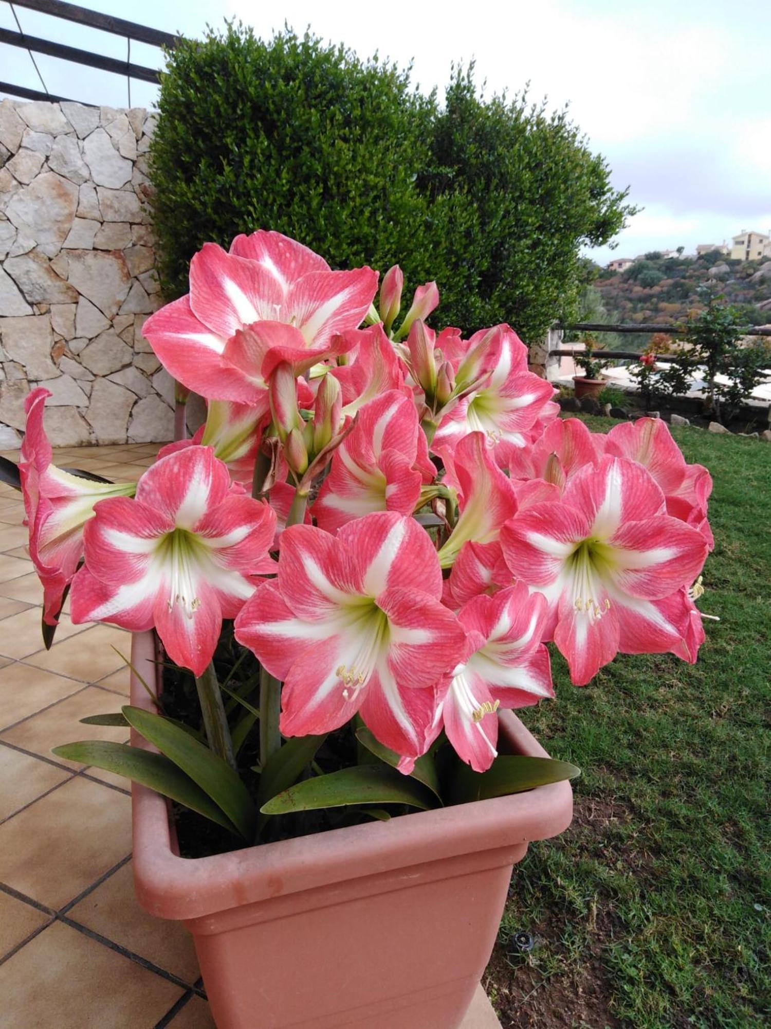 הוילה מונטה נאי Casa Bellavista מראה חיצוני תמונה